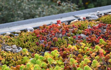 the cost of Upper Dean green roof installation