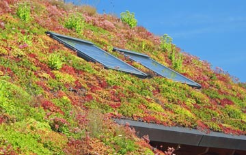 Upper Dean living roof systems