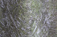 Upper Dean fibreglass roof work